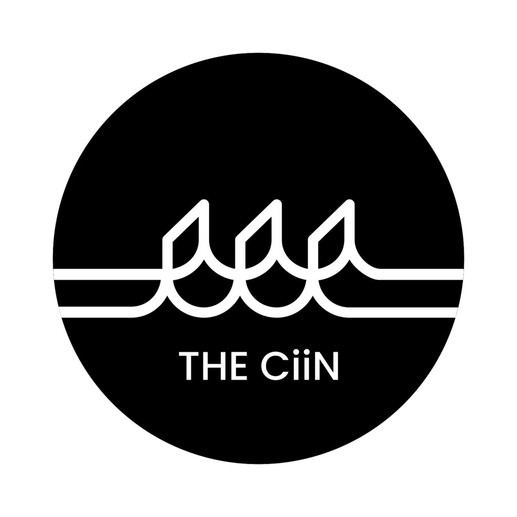 CiiN 28 by TheCiiN - Issuu